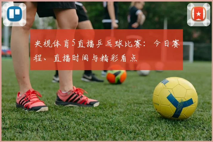 央视体育5直播乒乓球比赛：今日赛程、直播时间与精彩看点